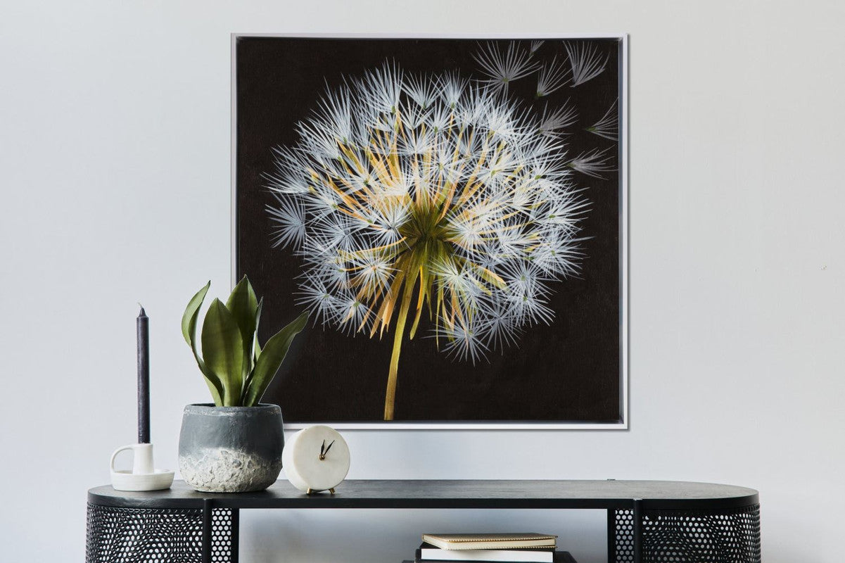 Dandelion Wall Art - White/Black - 33 X 33