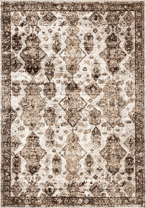 Antique Charm 5'3" x 7'7" Distressed Classic Area Rug - Brown, Grey, White