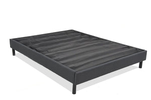 Sealy® Essentials Twin XL Platform Base